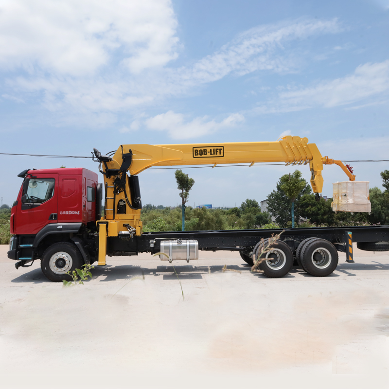 20 Ton Telescopic Boom Truck Mounted Crane